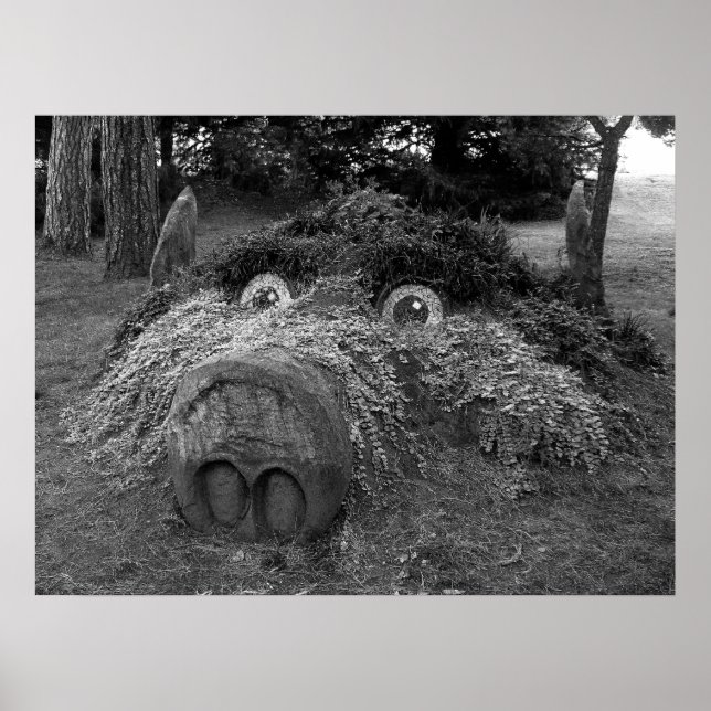 Póster Cabeza de Hogs, Parque Bute, Cardiff (Frente)