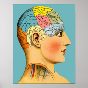 Póster Cabeza de la frenología