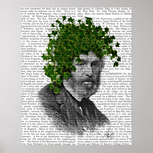 Póster Cabeza de la planta de Ivy Head (Frente)