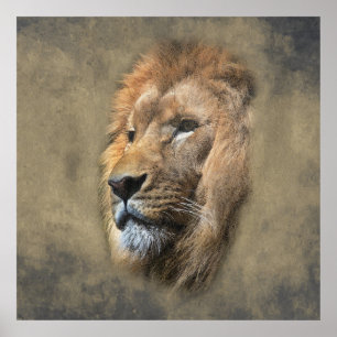 Póster Cabeza de León