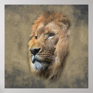Póster Cabeza de León