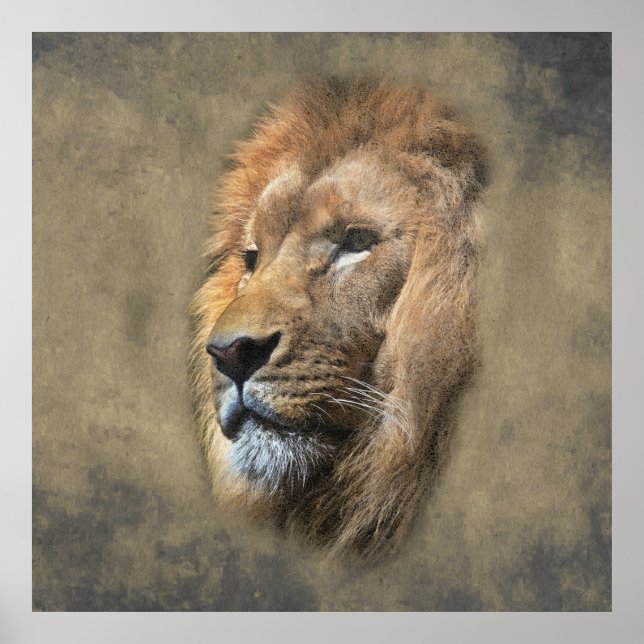 Póster Cabeza de León (Frente)