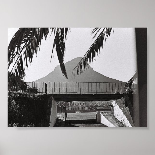 Póster Cabeza de león de Ciudad del Cabo, Sudáfrica ZA (Frente)