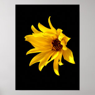 Póster Cabeza de margarita amarilla Helenium Poster