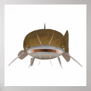 Póster Cabeza de pez cabeza de pez