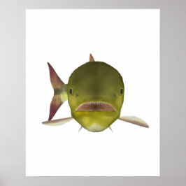 Póster Cabeza de pez Dorado dorado