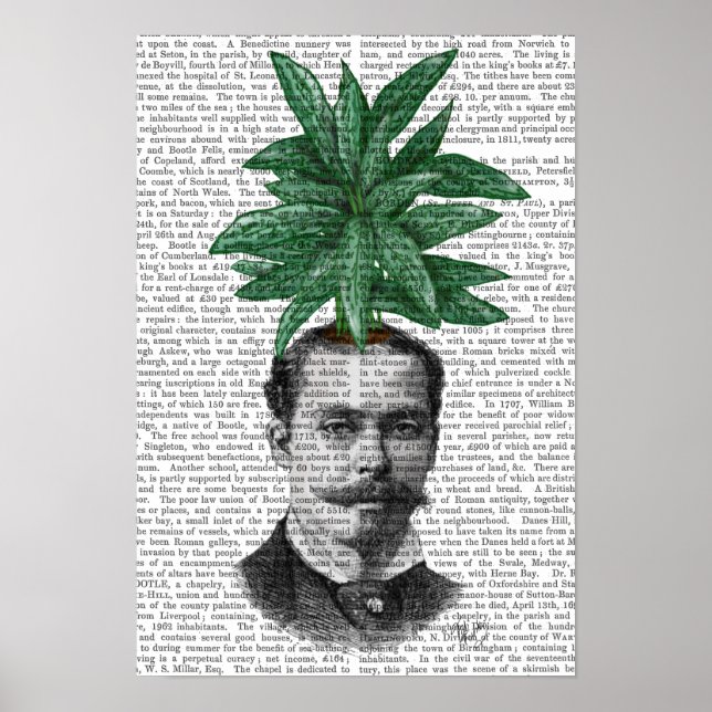 Póster Cabeza de planta evergreen china (Frente)