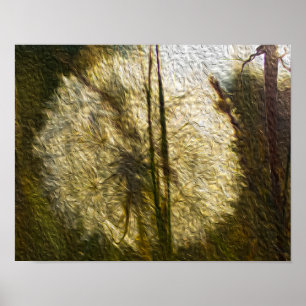 Póster Cabeza de semilla de Dandelion (pintura al óleo)
