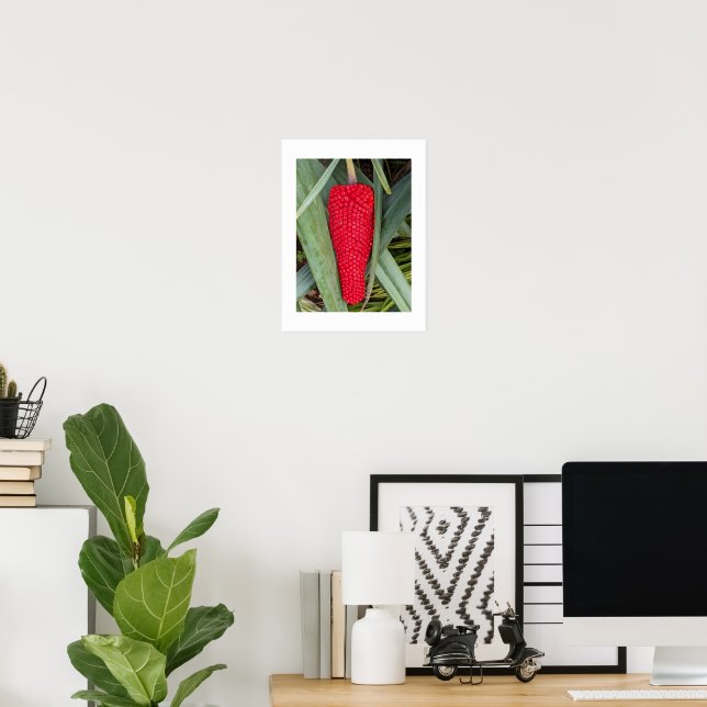 Póster Cabeza de semilla roja de lirio dragón Botánica (Oficina en casa)