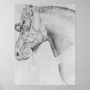 Póster Cabeza de un caballo, el álbum de Vallardi