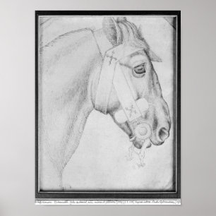 Póster Cabeza de un caballo, el álbum de Vallardi