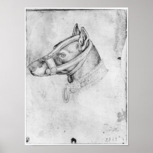 Póster Cabeza de un perro abozalado