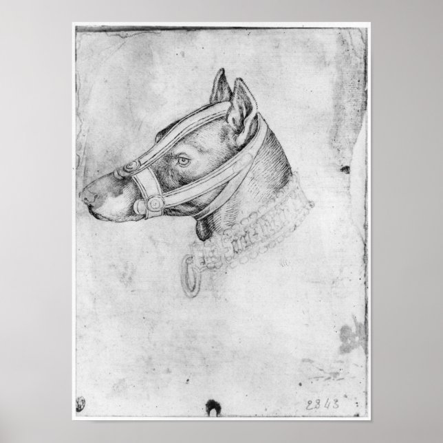 Póster Cabeza de un perro amordazado (Frente)
