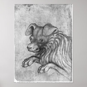 Póster Cabeza de un perro, del álbum The Vallardi