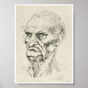 Póster Cabeza de un viejo hombre, Leonardo da Vinci