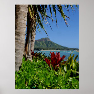 Póster Cabeza del diamante, Honolulu, Hawaii