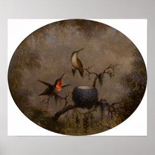 Póster Cabeza - Hummingbirds Y Su Nido 1863