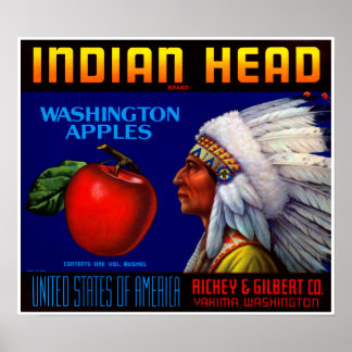 Póster Cabeza india