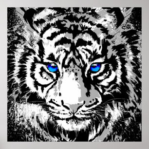 Póster Cabeza Siberiana de Tigre Blanco - Plaza del Poste