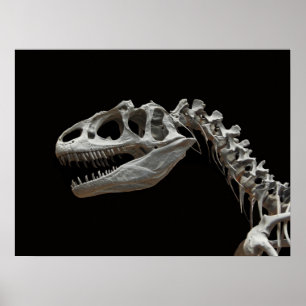 Póster Cabeza y cuello fósiles del allosaurus