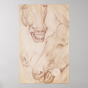 Póster Cabezas de caballo, del álbum Vallardi