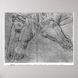 Póster Cabezas de caballos, el álbum de Vallardi