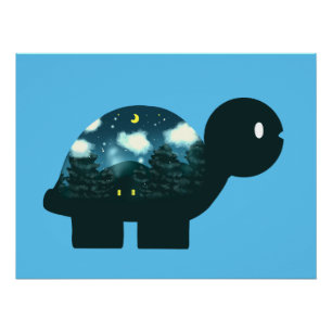 Póster Cabina De Cielo Nocturno En Tortuga Forestal