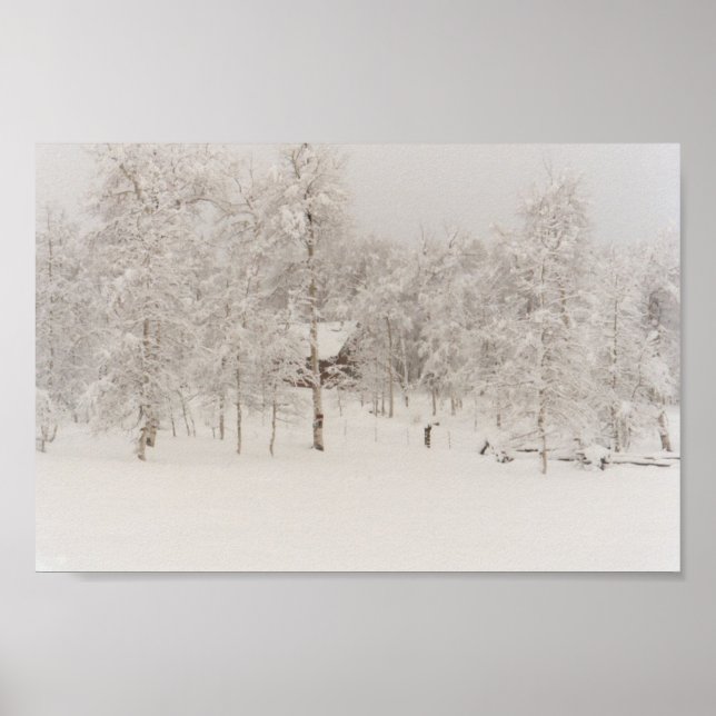 Póster Cabina de invierno (Frente)