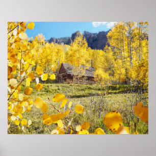 Póster Cabina en Aspens