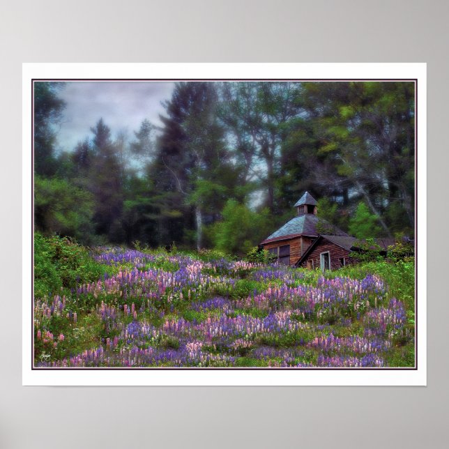 Póster Cabina en el Poster Lupine (Frente)