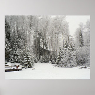 Póster Cabina en Nevada