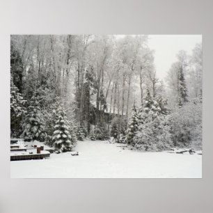 Póster Cabina en nevadas