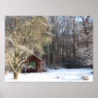 Cabina en un bosque blanco