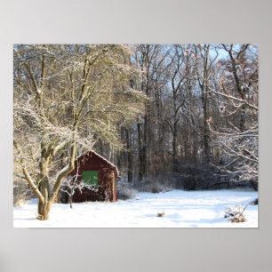Póster Cabina en un bosque blanco