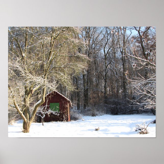 Póster Cabina en un bosque blanco (Frente)