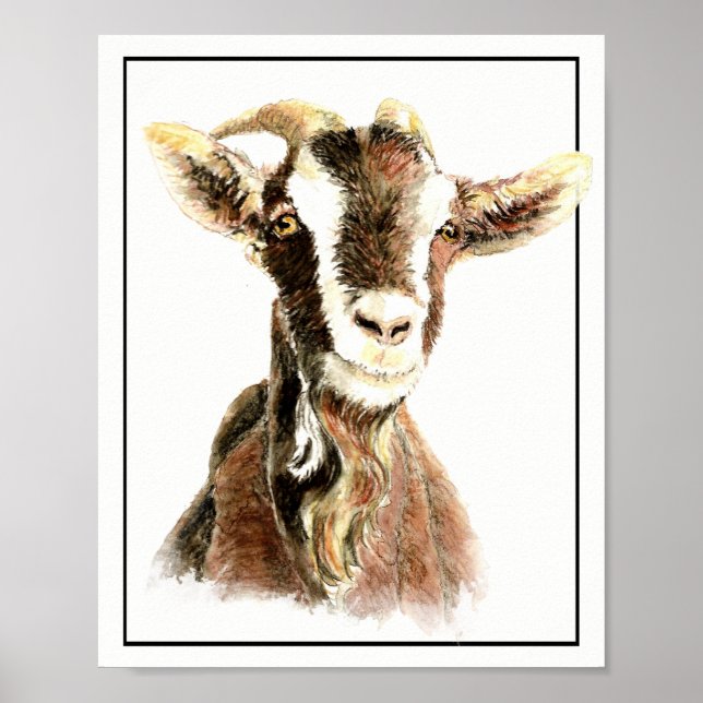 Póster Cabra animal acuarela (Frente)