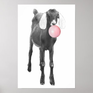 Póster Cabra Bonita Negro Blanco Chicle Guardería Niño