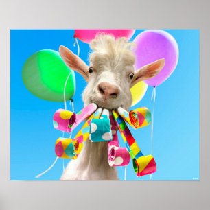 Póster Cabra con Sopladores de Fiesta