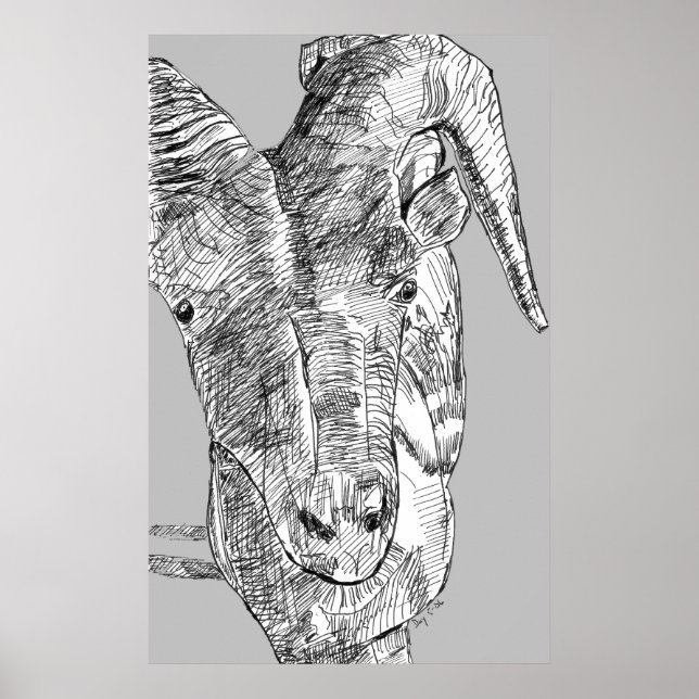 Póster Cabra de montaña (Frente)