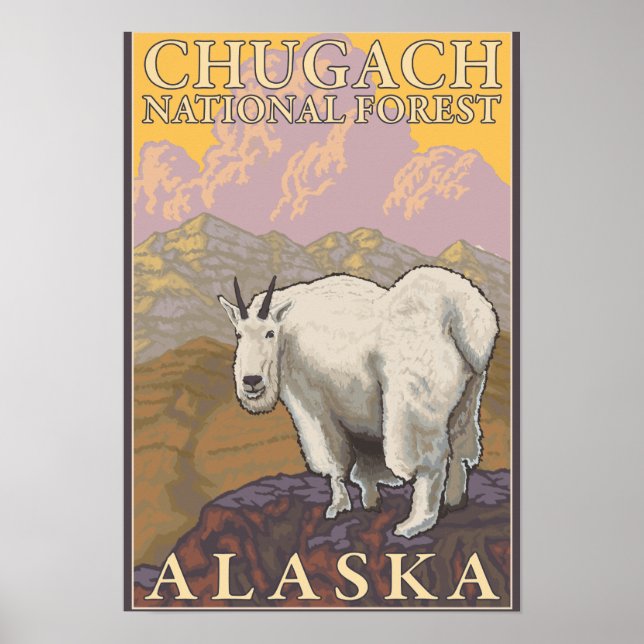 Póster Cabra de Montaña - Bosque Nacional Chugach (Frente)