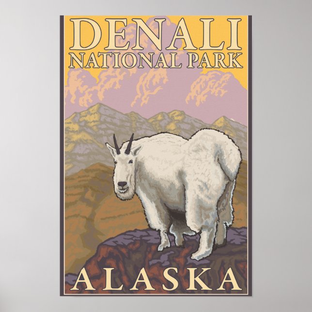 Póster Cabra de montaña - Parque nacional Denali, Alaska (Frente)