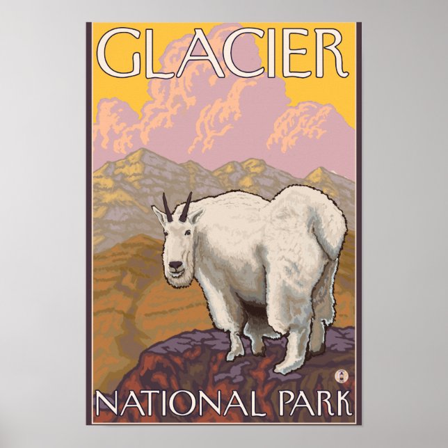 Póster Cabra de Montaña - Parque Nacional Glacier, MT (Frente)