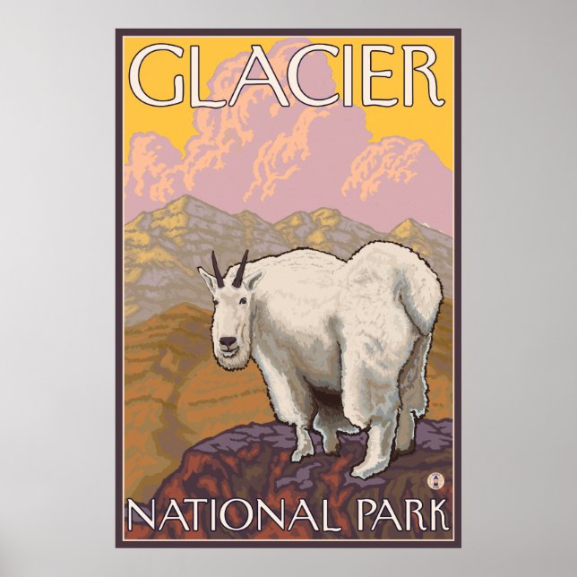 Póster Cabra de Montaña - Parque Nacional Glacier, MT (Frente)