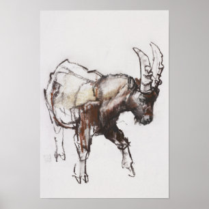 Póster Cabra montés joven Gran Paradiso 2005