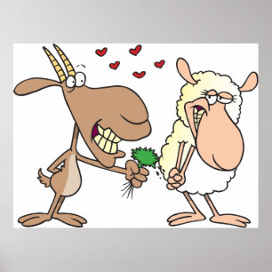 Póster Cabra y Oveja Enamorados