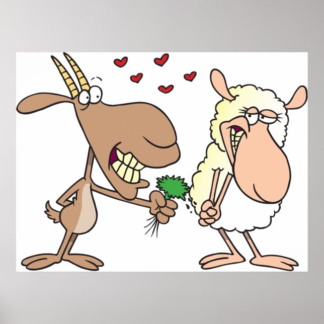 Póster Cabra y Oveja Enamorados (Frente)