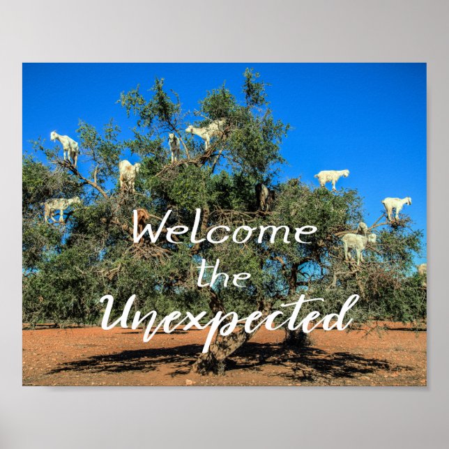 Póster Cabras en árboles acogen a inesperados (Frente)