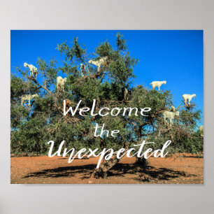 Póster Cabras en los árboles dan la bienvenida a lo ines