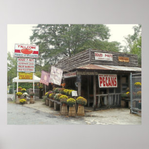 Póster Cacahuetes hervidos y todos vienen