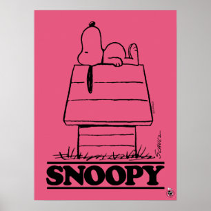 Póster Cacahuetes   Snoopy El Secreto De La Vida